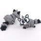 Raccoon Friendz