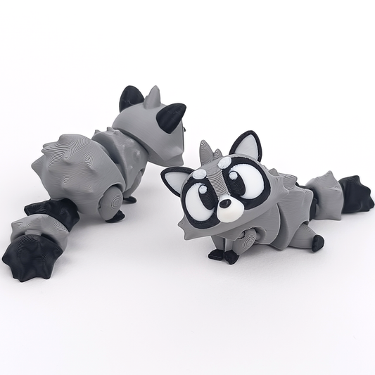 Raccoon Friendz
