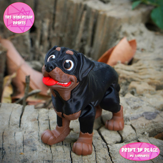 Rottweiler Keychain