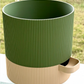 Self Watering Planter