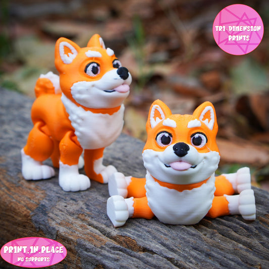 Shibu Inu Keychain