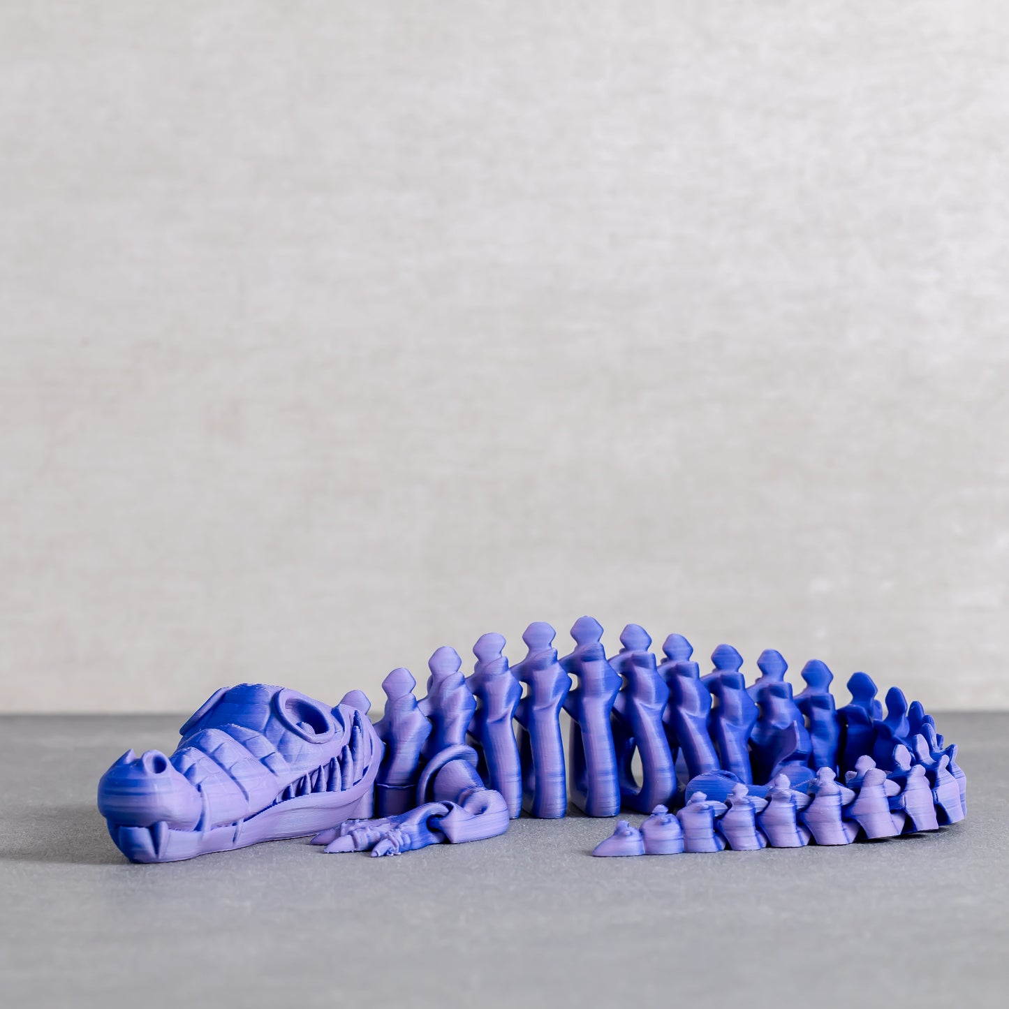 Flexi Crocodile Skeleton