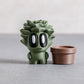 Succulent Friend