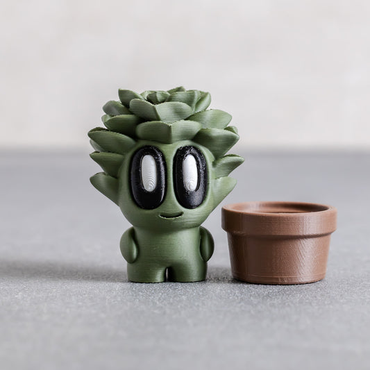 Succulent Friend