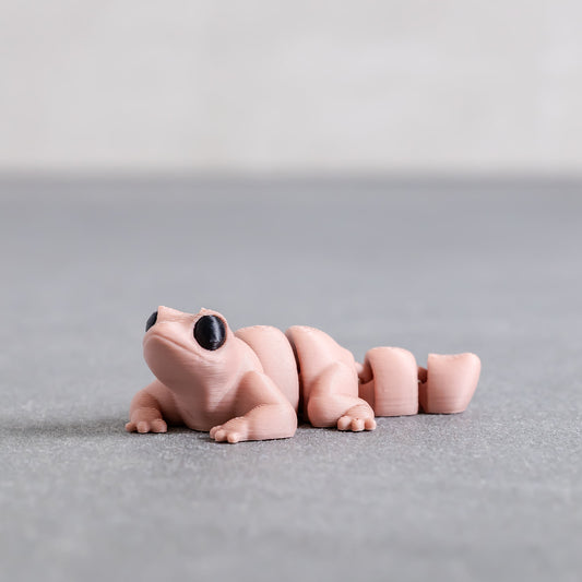 Lizard