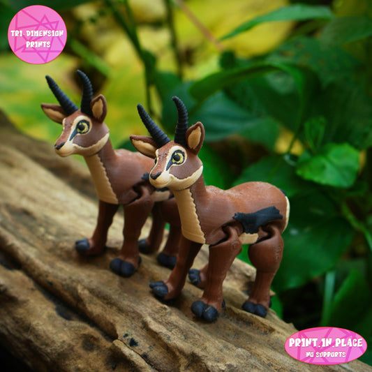 Springbok Keychain