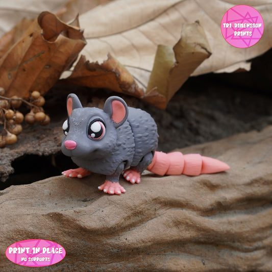 Mouse