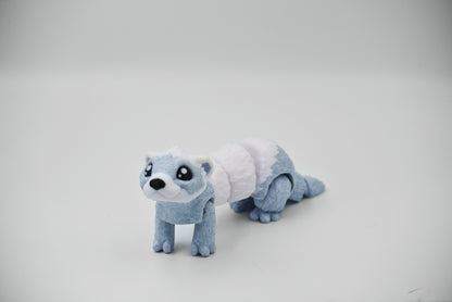 Ferret