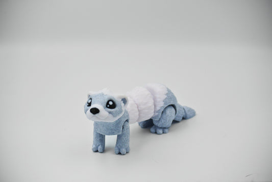 Ferret