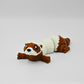 Ferret
