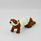 Ferret