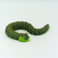 Hognose Snake
