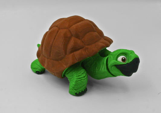 Turtle